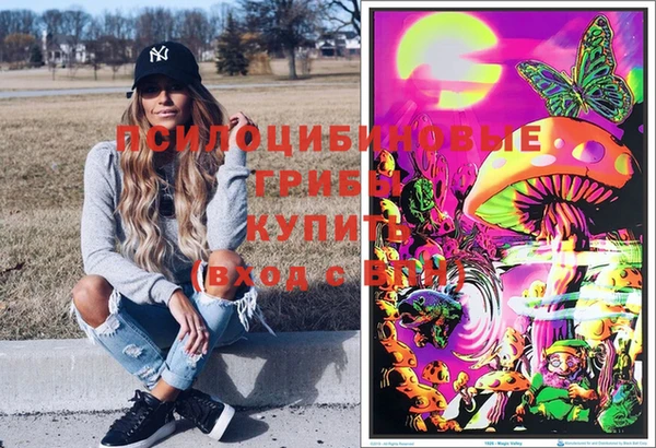 крисы Богородск